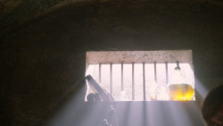 extant_GameOfThrones_2x05-TheGhostOfHarrenhal_2899