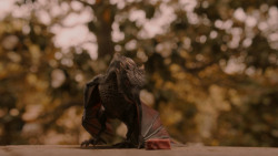 extant_GameOfThrones_2x05-TheGhostOfHarrenhal_3244