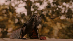 extant_GameOfThrones_2x05-TheGhostOfHarrenhal_3247