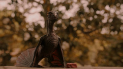 extant_GameOfThrones_2x05-TheGhostOfHarrenhal_3249