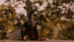 extant_GameOfThrones_2x05-TheGhostOfHarrenhal_3250
