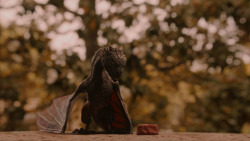 extant_GameOfThrones_2x05-TheGhostOfHarrenhal_3258
