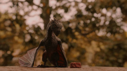 extant_GameOfThrones_2x05-TheGhostOfHarrenhal_3259
