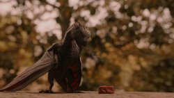 extant_GameOfThrones_2x05-TheGhostOfHarrenhal_3262