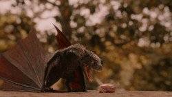 extant_GameOfThrones_2x05-TheGhostOfHarrenhal_3264