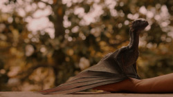 extant_GameOfThrones_2x05-TheGhostOfHarrenhal_3299