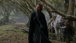 extant_GameOfThrones_2x05-TheGhostOfHarrenhal_3879