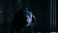extant_GameOfThrones_2x06-TheOldGodsAndTheNew_0033