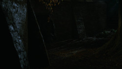 extant_GameOfThrones_2x06-TheOldGodsAndTheNew_5272