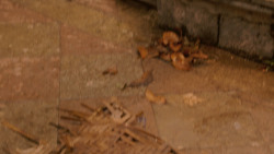 extant_GameOfThrones_2x06-TheOldGodsAndTheNew_5473