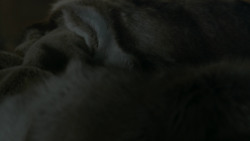 extant_GameOfThrones_2x07-AManWithoutHonor_0003