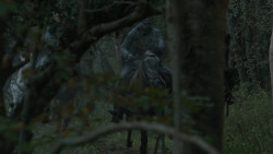extant_GameOfThrones_2x07-AManWithoutHonor_0145