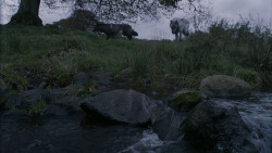 extant_GameOfThrones_2x07-AManWithoutHonor_0286