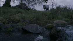 extant_GameOfThrones_2x07-AManWithoutHonor_0287