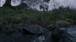 extant_GameOfThrones_2x07-AManWithoutHonor_0288