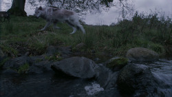 extant_GameOfThrones_2x07-AManWithoutHonor_0290