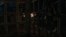 extant_GameOfThrones_2x07-AManWithoutHonor_3403
