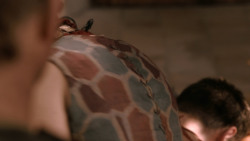 extant_GameOfThrones_2x07-AManWithoutHonor_4223