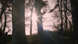 extant_GameOfThrones_2x08-ThePrinceOfWinterfell_0641