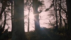 extant_GameOfThrones_2x08-ThePrinceOfWinterfell_0642