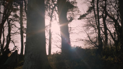 extant_GameOfThrones_2x08-ThePrinceOfWinterfell_0643