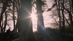 extant_GameOfThrones_2x08-ThePrinceOfWinterfell_0645