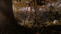 extant_GameOfThrones_2x08-ThePrinceOfWinterfell_1103