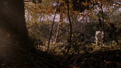 extant_GameOfThrones_2x08-ThePrinceOfWinterfell_1104
