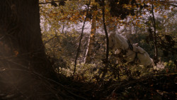 extant_GameOfThrones_2x08-ThePrinceOfWinterfell_1105