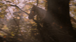 extant_GameOfThrones_2x08-ThePrinceOfWinterfell_1107
