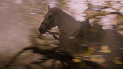 extant_GameOfThrones_2x08-ThePrinceOfWinterfell_1108