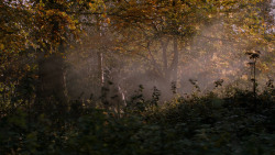 extant_GameOfThrones_2x08-ThePrinceOfWinterfell_1110