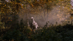 extant_GameOfThrones_2x08-ThePrinceOfWinterfell_1111