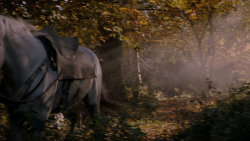 extant_GameOfThrones_2x08-ThePrinceOfWinterfell_1114
