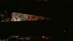 extant_GameOfThrones_2x08-ThePrinceOfWinterfell_5106