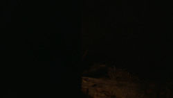 extant_GameOfThrones_2x08-ThePrinceOfWinterfell_5470