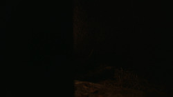 extant_GameOfThrones_2x08-ThePrinceOfWinterfell_5471