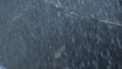 extant_GameOfThrones_2x09-Blackwater_2663