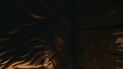 extant_GameOfThrones_2x09-Blackwater_4564