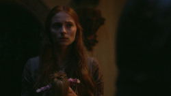 extant_GameOfThrones_2x09-Blackwater_4958