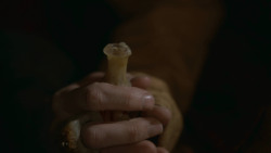 extant_GameOfThrones_2x09-Blackwater_5539