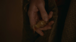 extant_GameOfThrones_2x09-Blackwater_5598