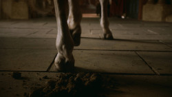 extant_GameOfThrones_2x10-ValarMorghulis_0156