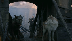 extant_GameOfThrones_2x10-ValarMorghulis_4221