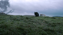 extant_GameOfThrones_2x10-ValarMorghulis_4498