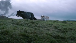 extant_GameOfThrones_2x10-ValarMorghulis_4500