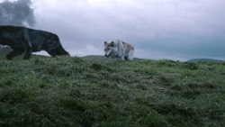 extant_GameOfThrones_2x10-ValarMorghulis_4501