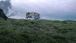 extant_GameOfThrones_2x10-ValarMorghulis_4502