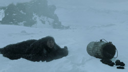 extant_GameOfThrones_2x10-ValarMorghulis_6323