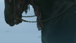 extant_GameOfThrones_2x10-ValarMorghulis_6449